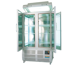 > </div>
<div class=